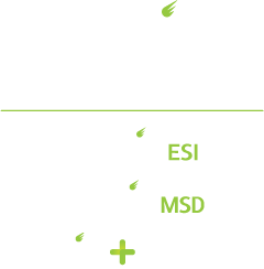 Noblis logo and logos of subsidiaries Noblis MSD Noblis ESI and Noblis Mikros