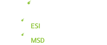 Noblis logo and logos of subsidiaries Noblis ESI and Noblis MSD